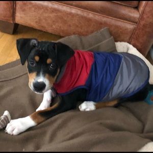 Dog coat - size medium, discounted shipping!